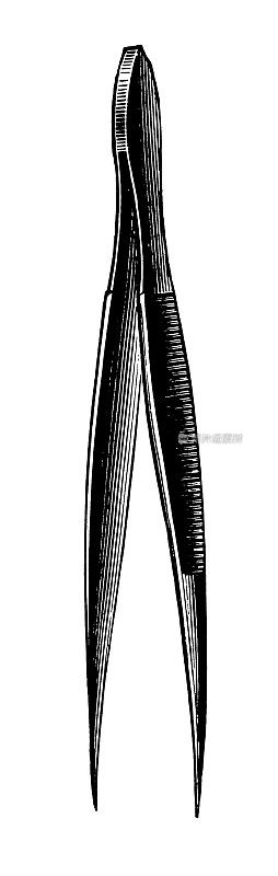 镊子|古董设计插图